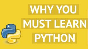 为什么人人都在学Python