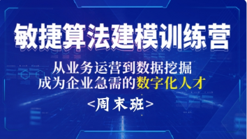 20250308敏捷算法建模训练营周末班